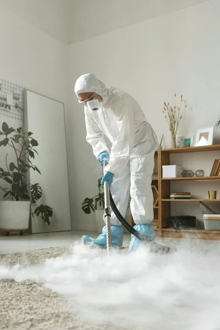 Professional carpet cleaning service with steam equipment