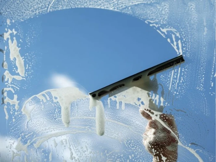 Professional window cleaning service